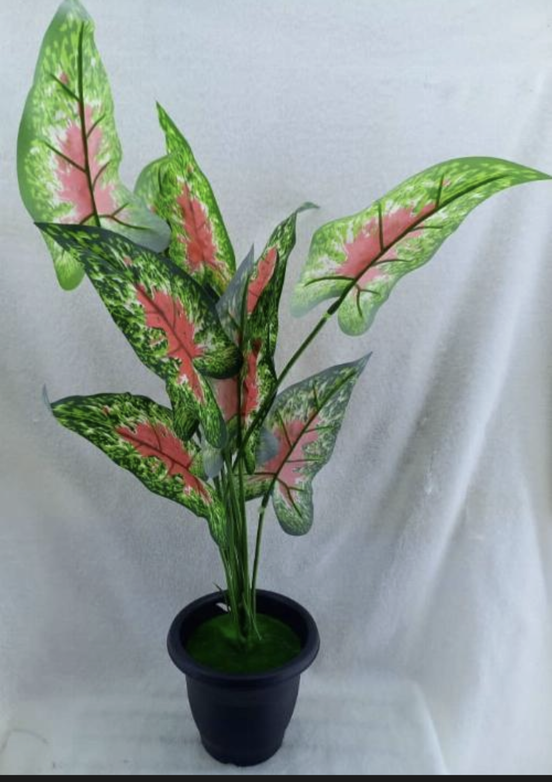 Plastic flower 4