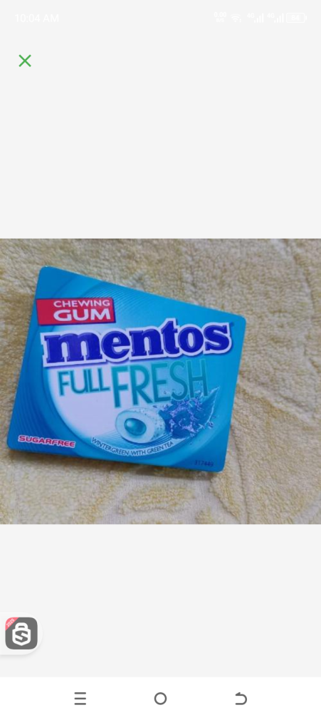 Mentos full fresh wintergreenchewgum 14gr