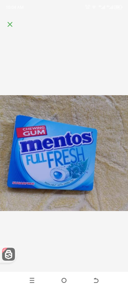 Mentos peppermint chewing gum 8pcs*11.44gr