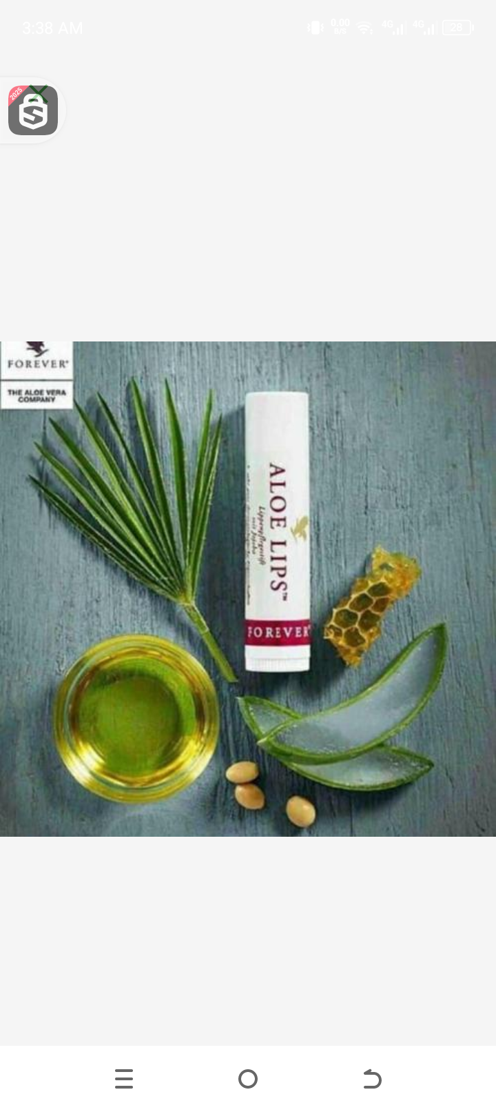 Forever aloe lip with jojoba