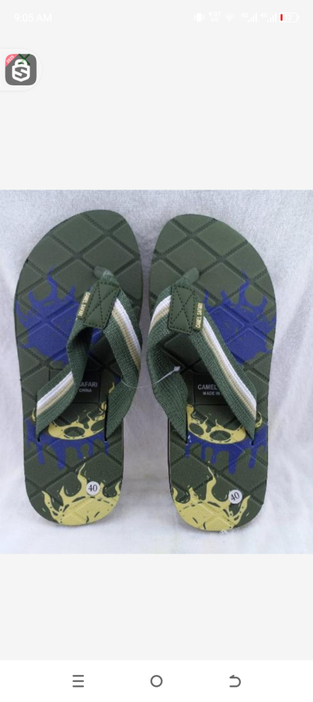 Camel safari sleeper