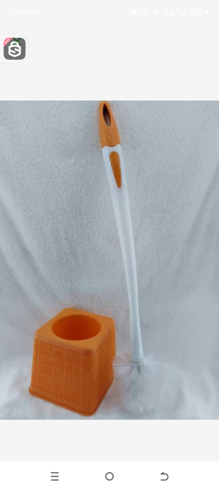 Toilet brush 17