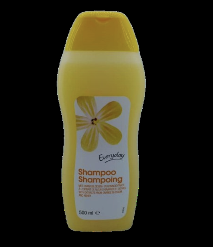 Everyday shampoo shampooing 500mL