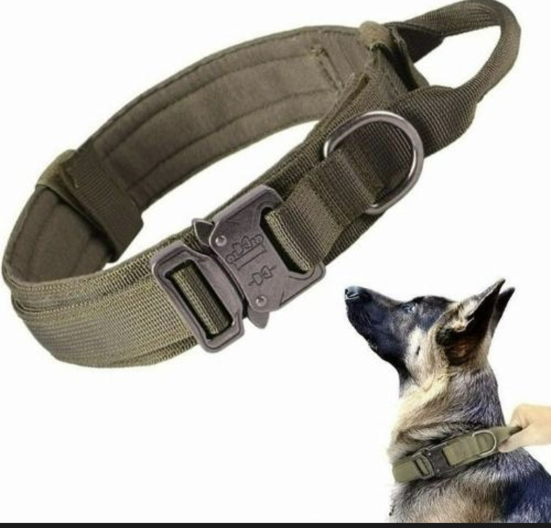 Durable military Dog collars