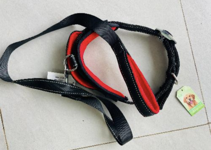 Demu nylon collar with leash