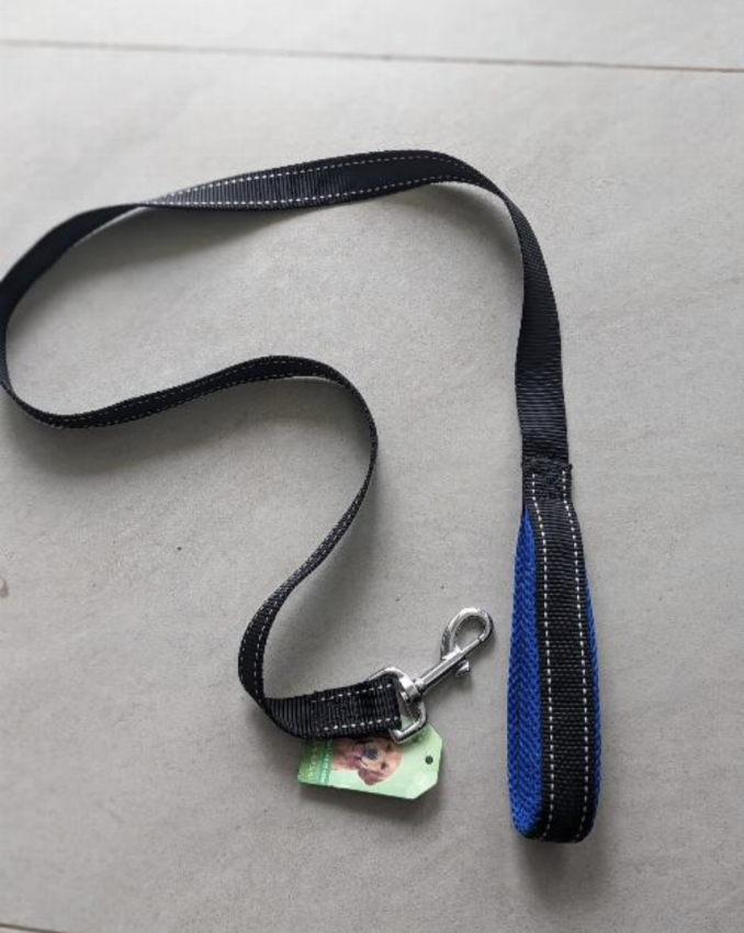 Demi nylon Leash