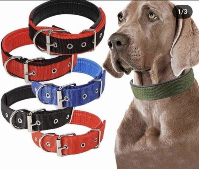 XT Dog collars