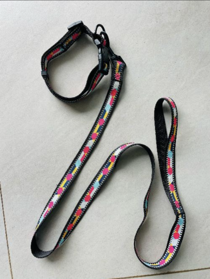 Dog Leash sy D00812