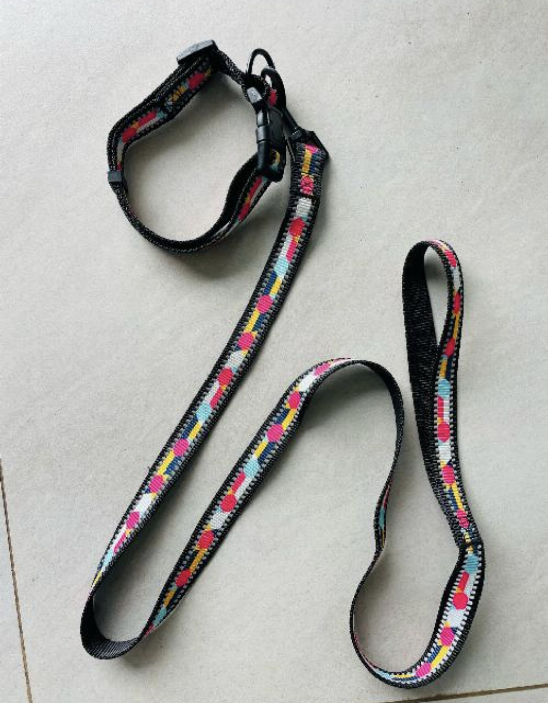 Puppy Leash 051512