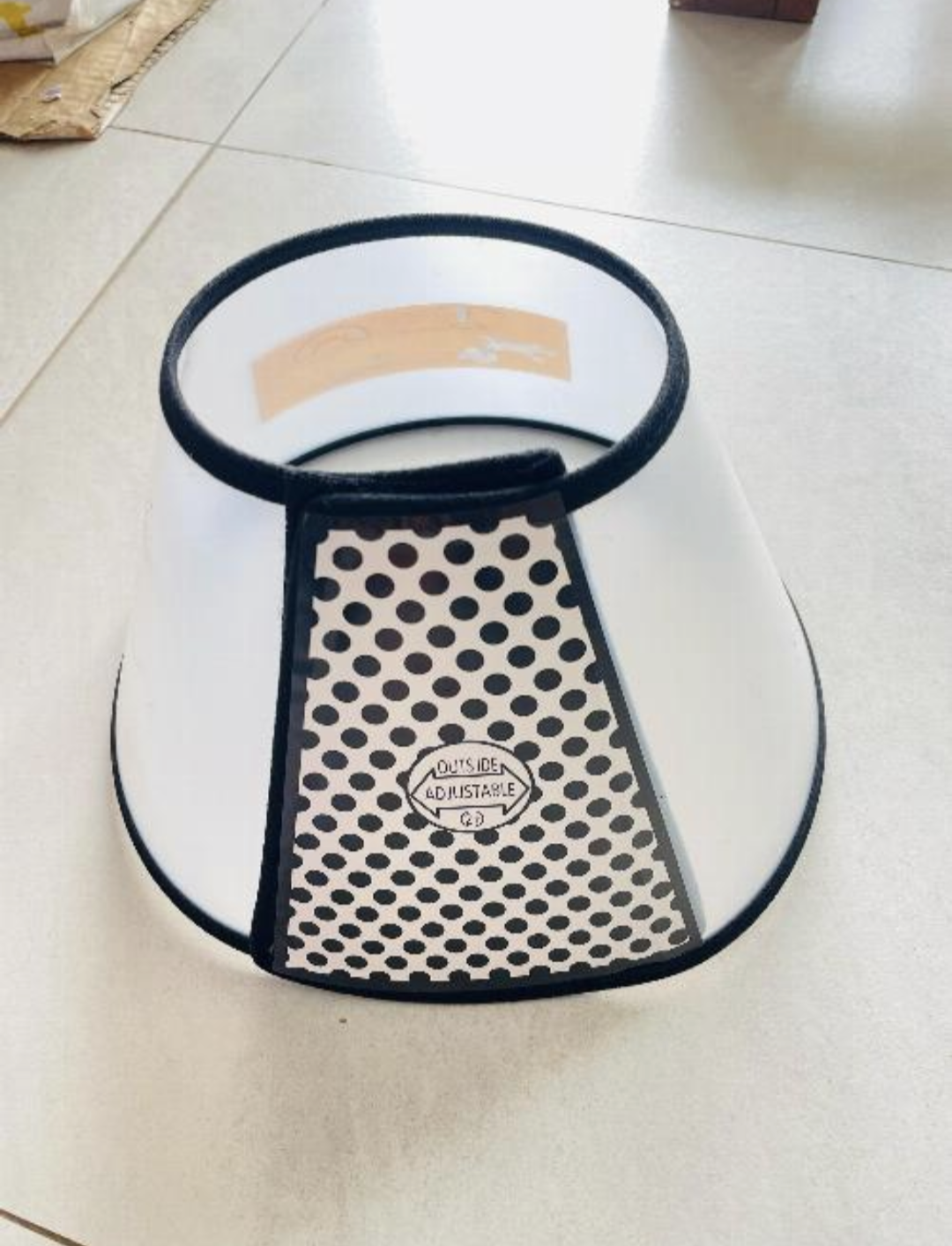 Dog cone small