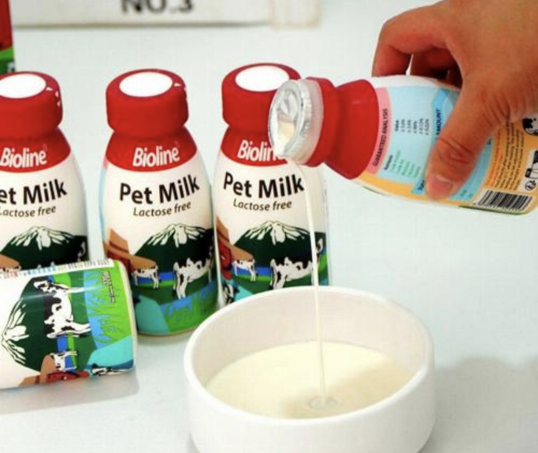 PET Milk Free lactose 220ml