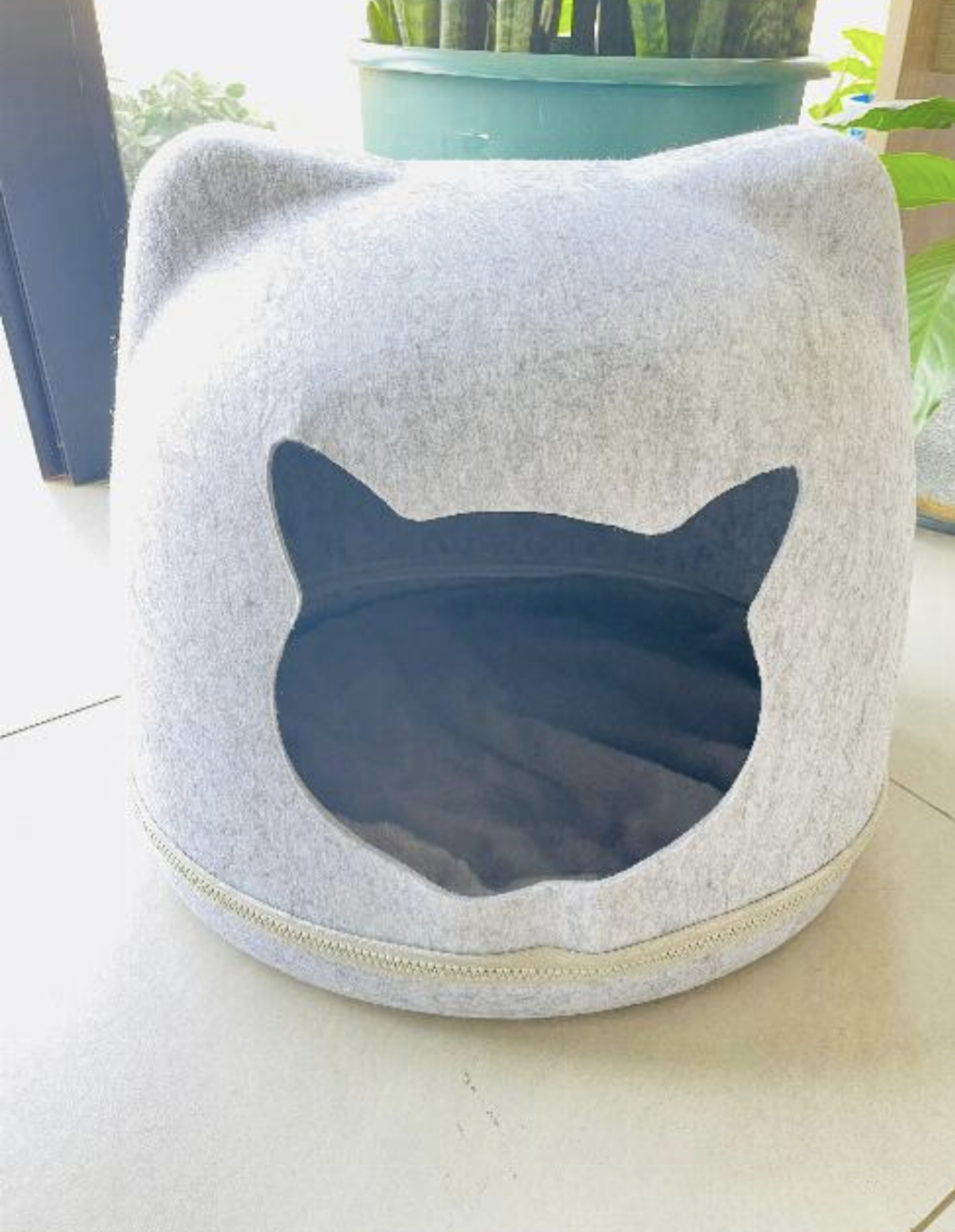 CAT House