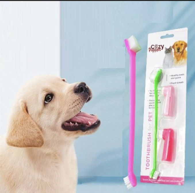 Toothbrush for PET