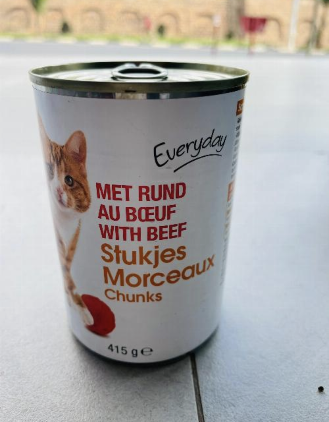 Everyday Cat Met Round with Beef