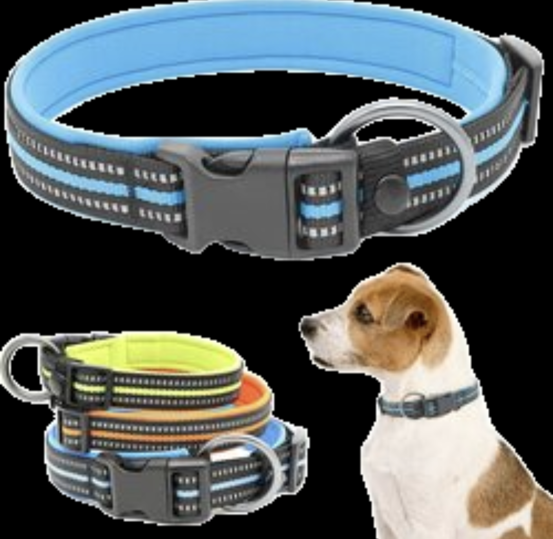 Adjustable classic Dog COLLAR