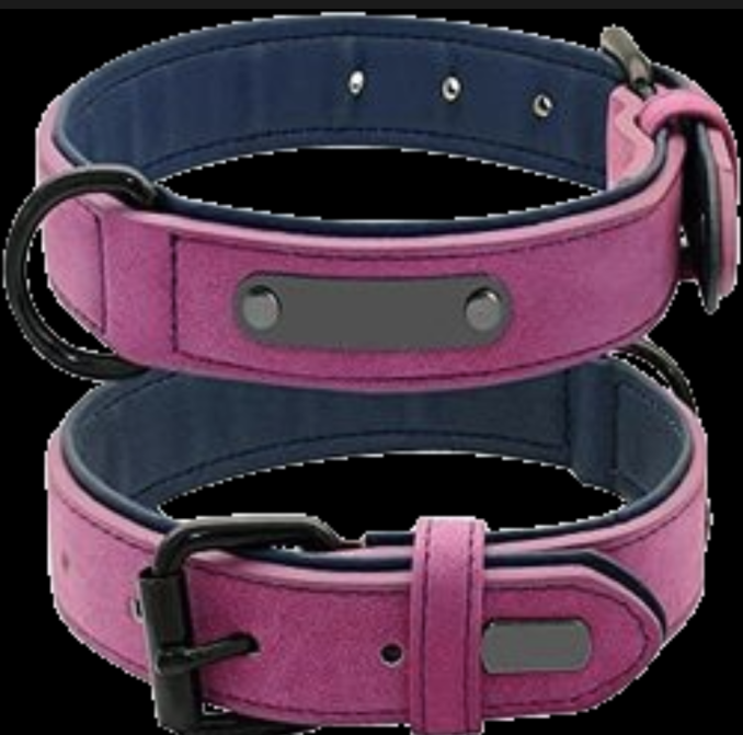 Personalized Dog Collar