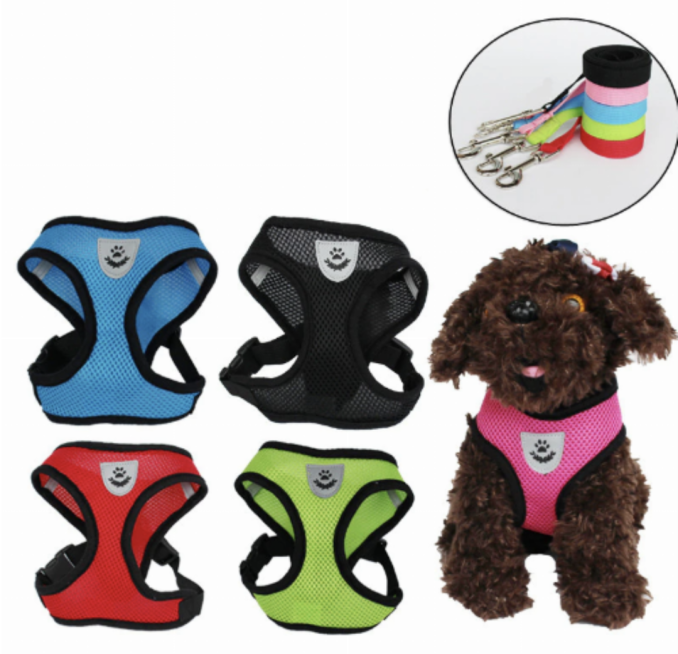 Mini Mesh Harness vest