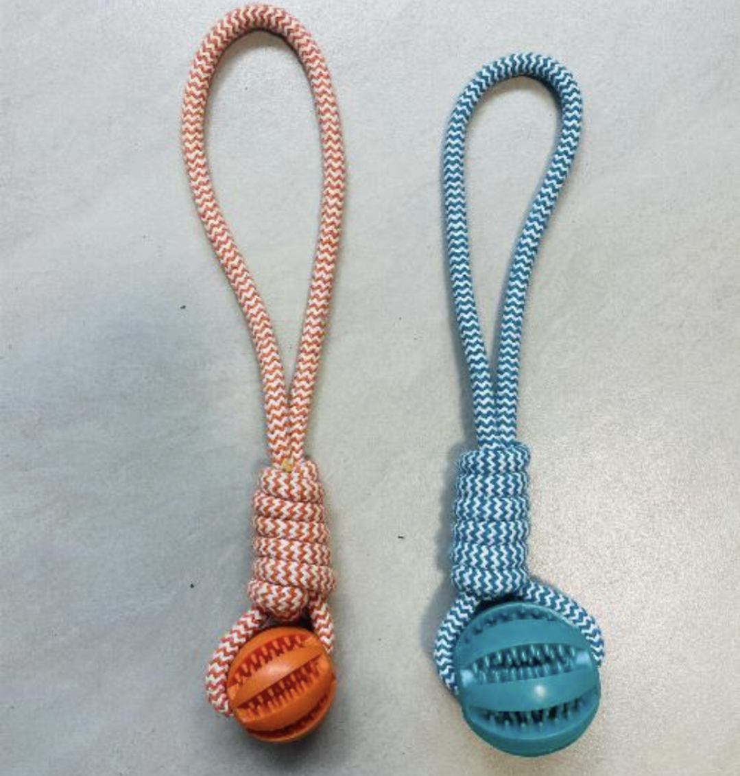 ZT DOG TOY
