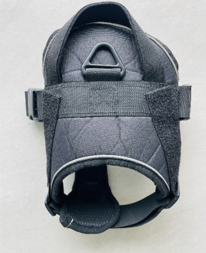 Back hannessy medium