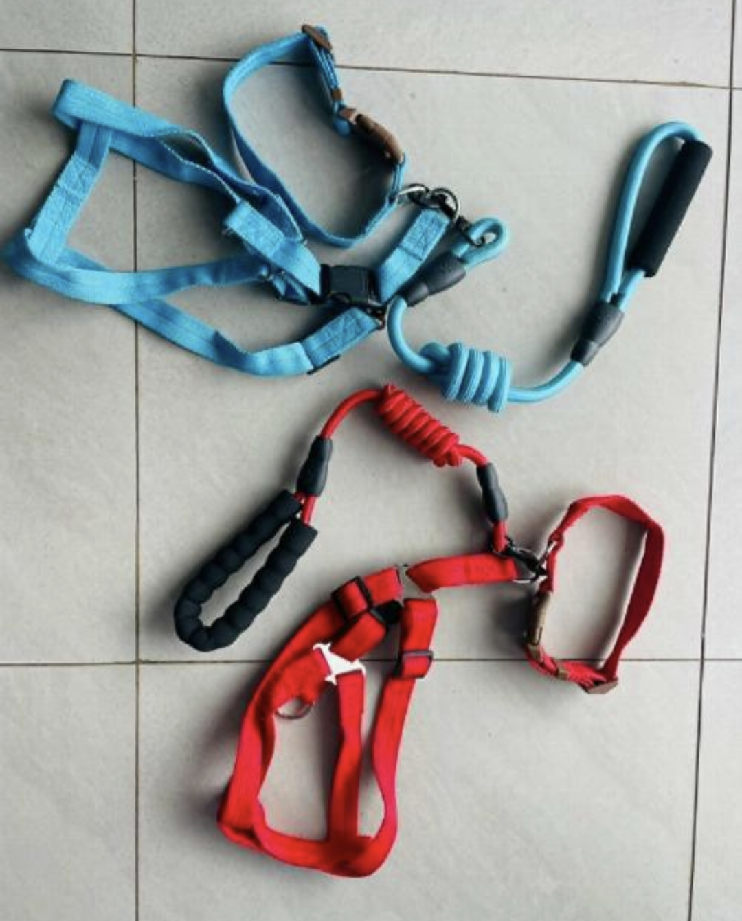 COLLAR Leash And Harness Set