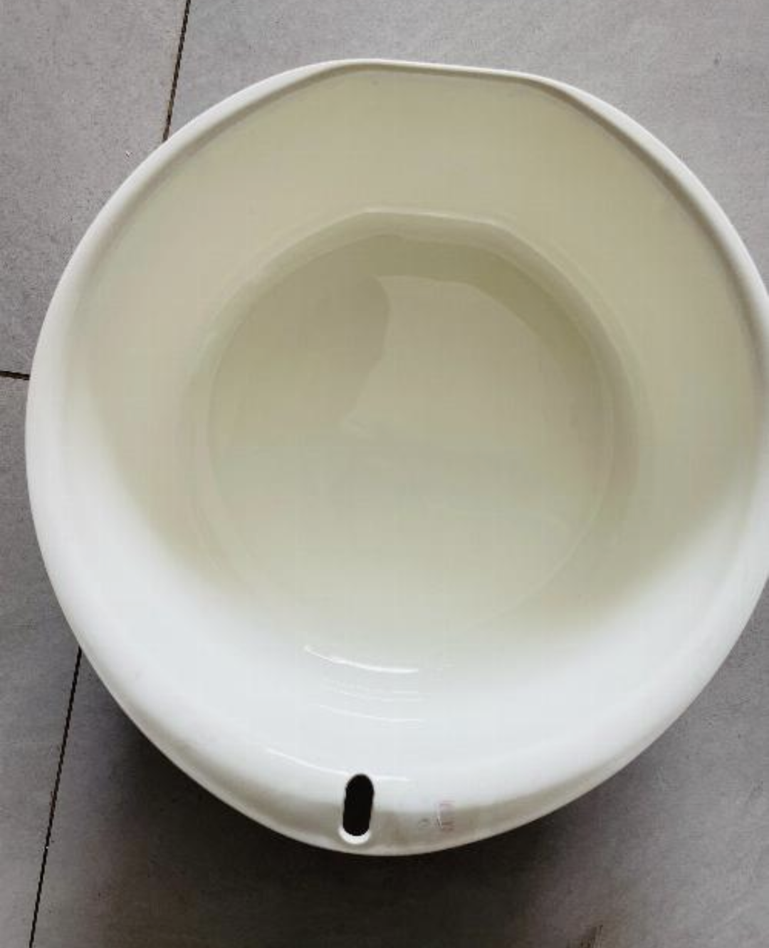 Plastic Dog Plate