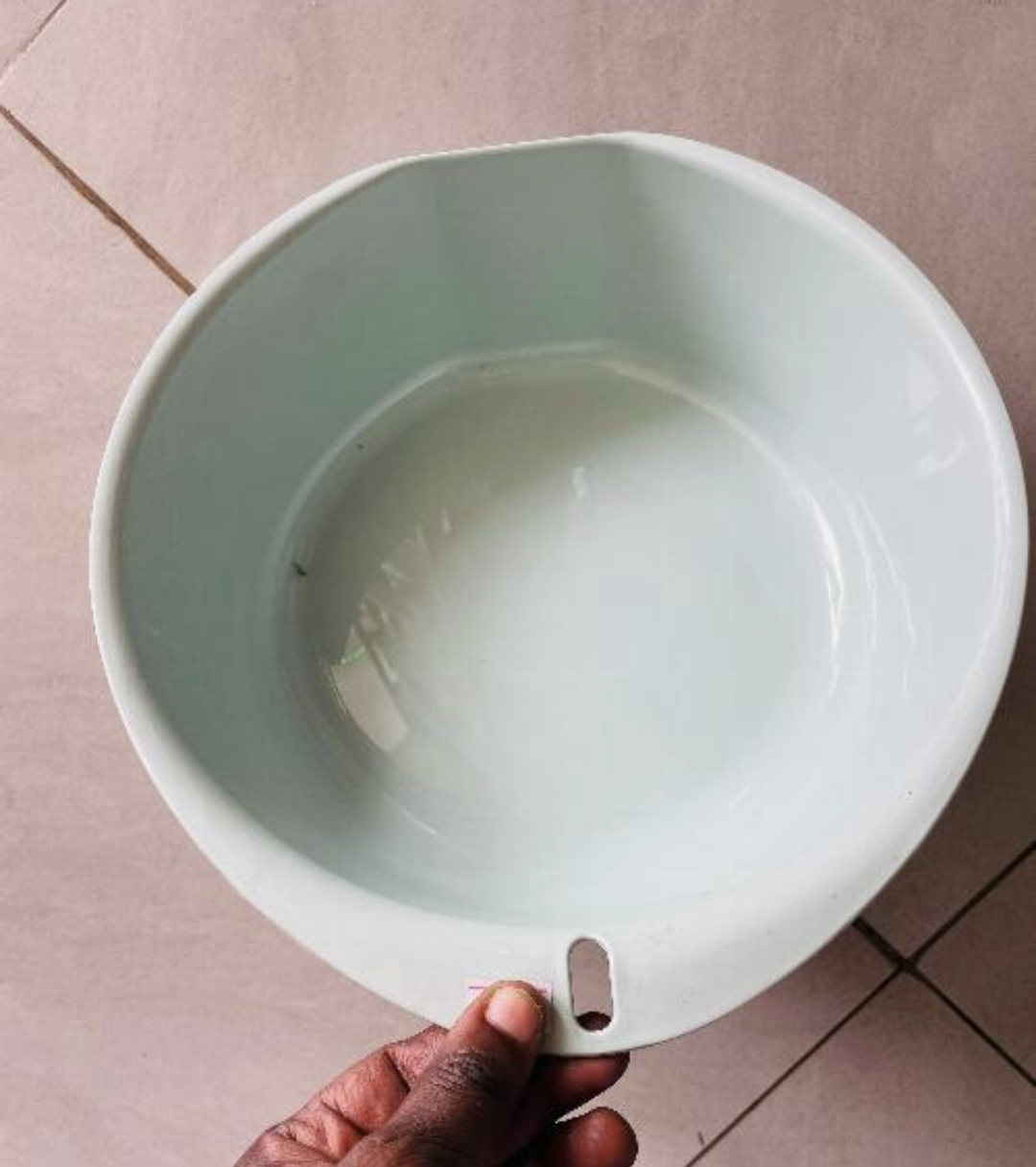 Plastic Dog Plate Small