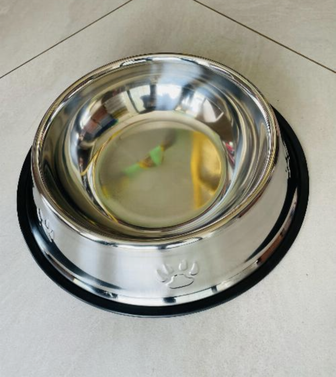 Small Dog Plate
