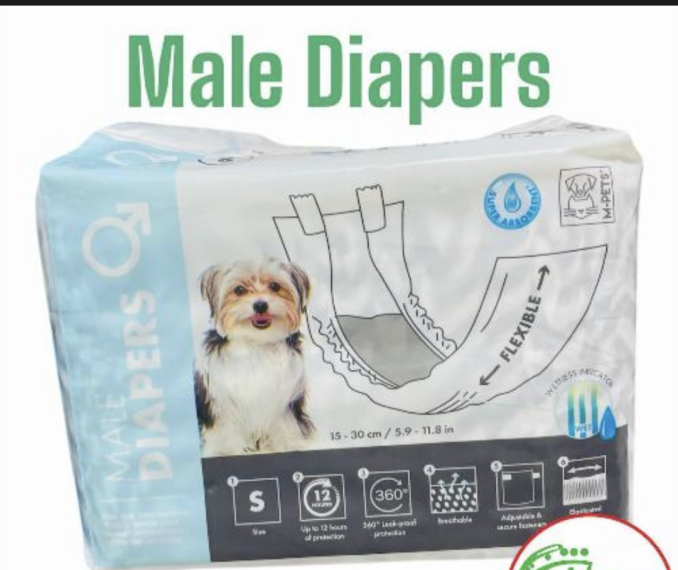 Male Diaper