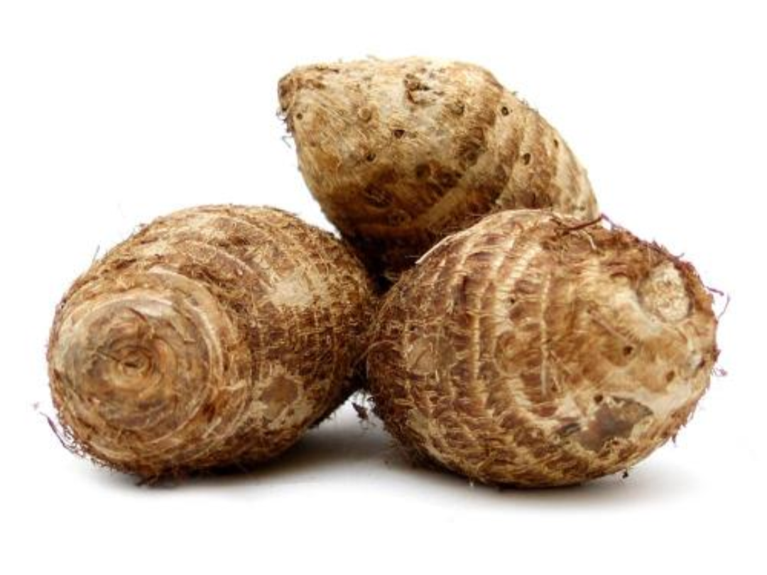 Arrow root