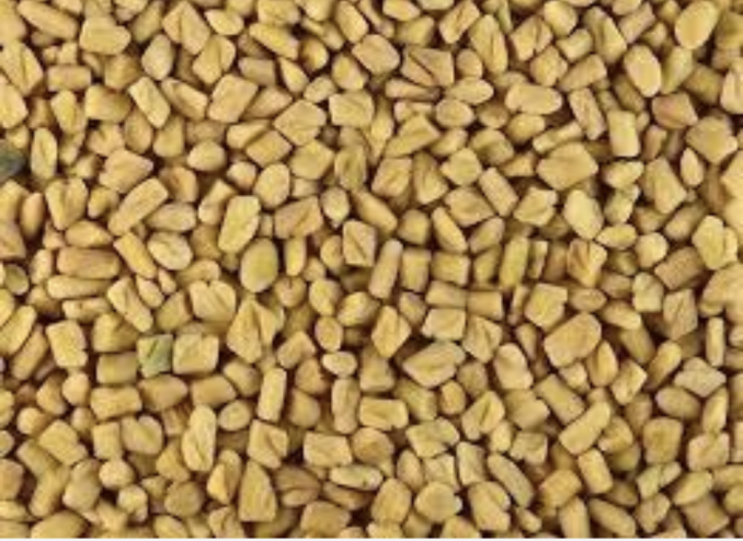Fenugreek Seeds 100g