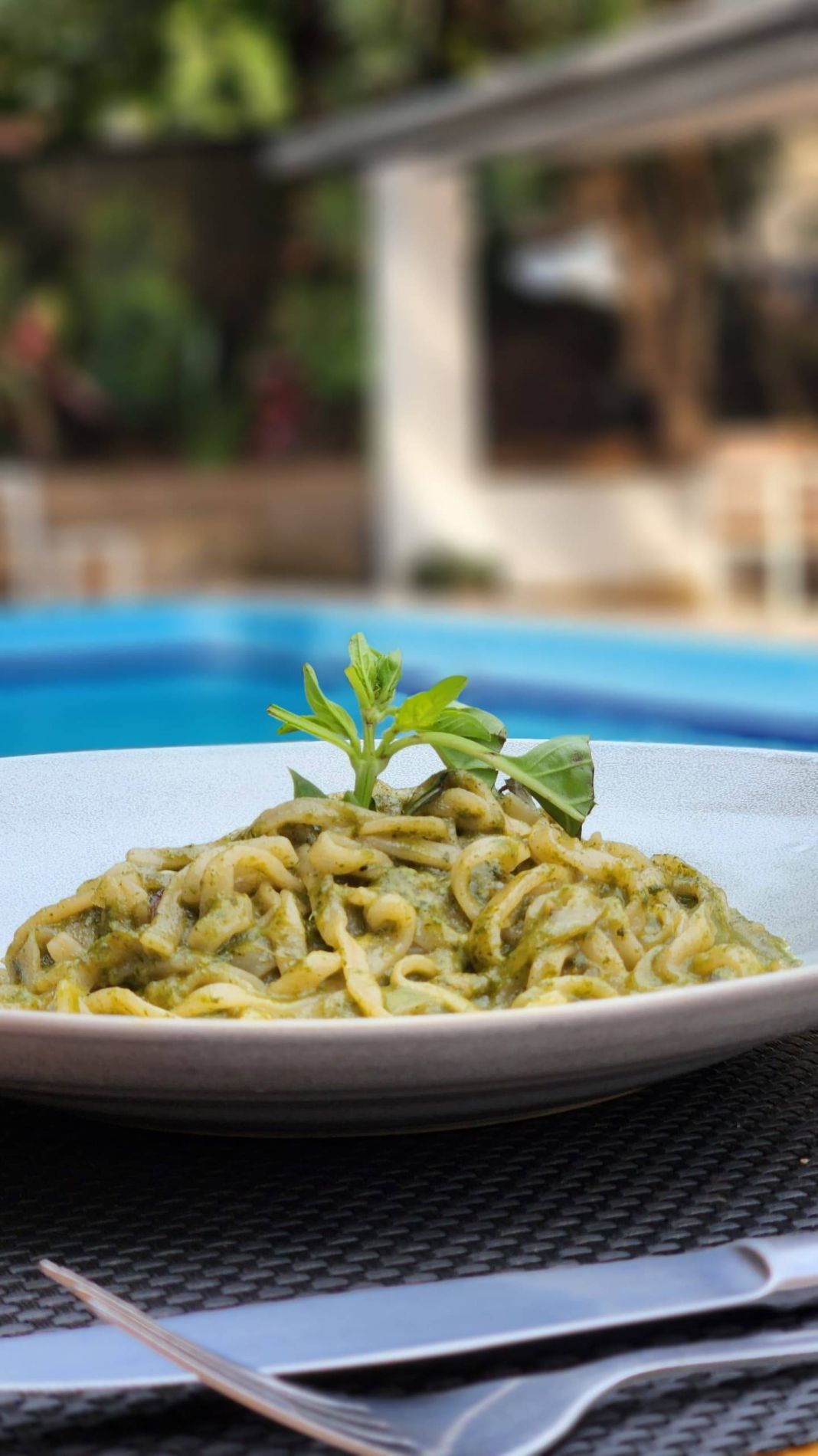 PESTO PASTA 
(Pasta tossed with creamy basil garlic and parmesan sauce)