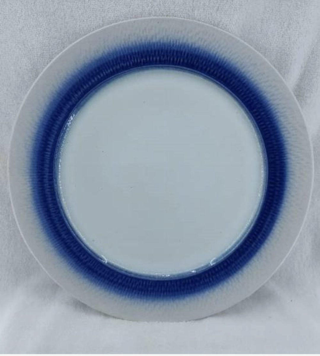 Blue White Plate