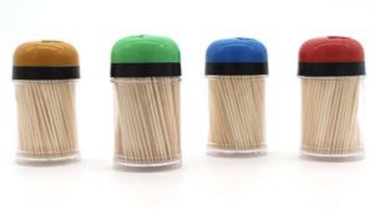 Xinyun toothpick 1 PKT