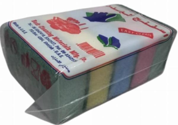 Easy sponge 5pcs