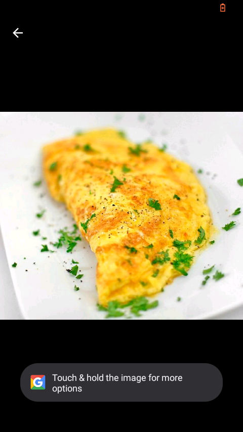 Nature Omelette