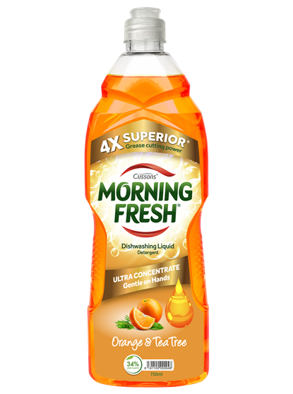 Morning Fresh Dishwashing Liquid 450ml