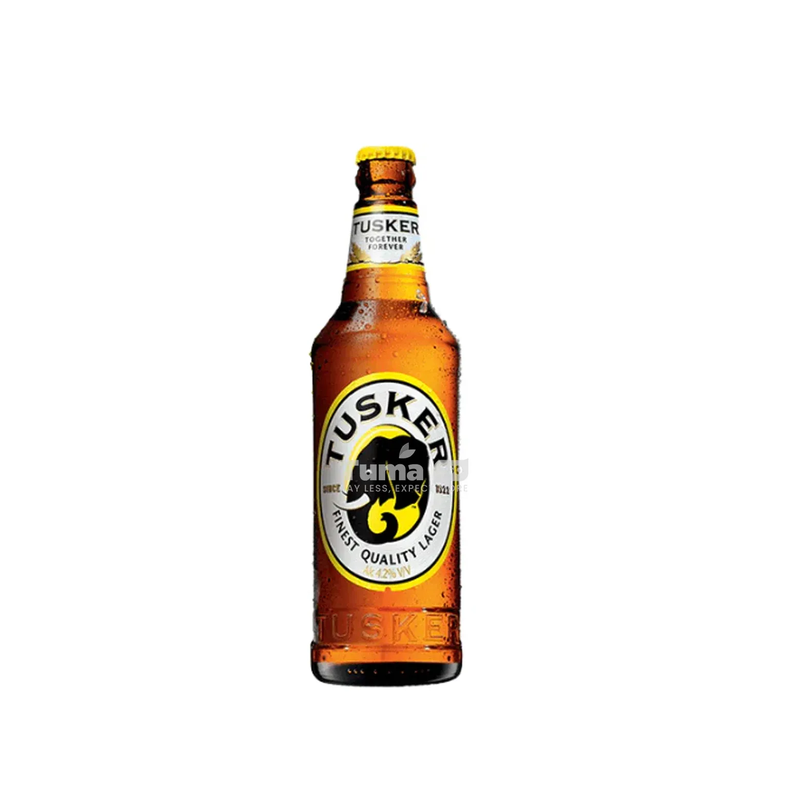 Tusker Finest Quality Lager beer 500